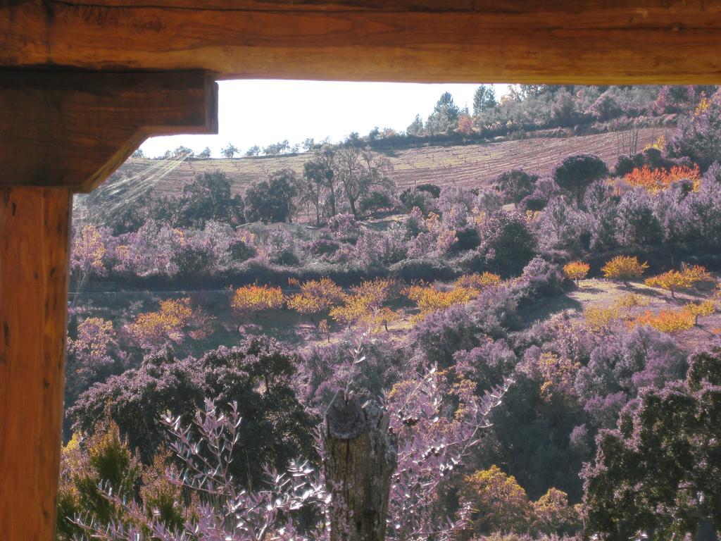 Apartamentos Rurales Candela Canamero Ruang foto