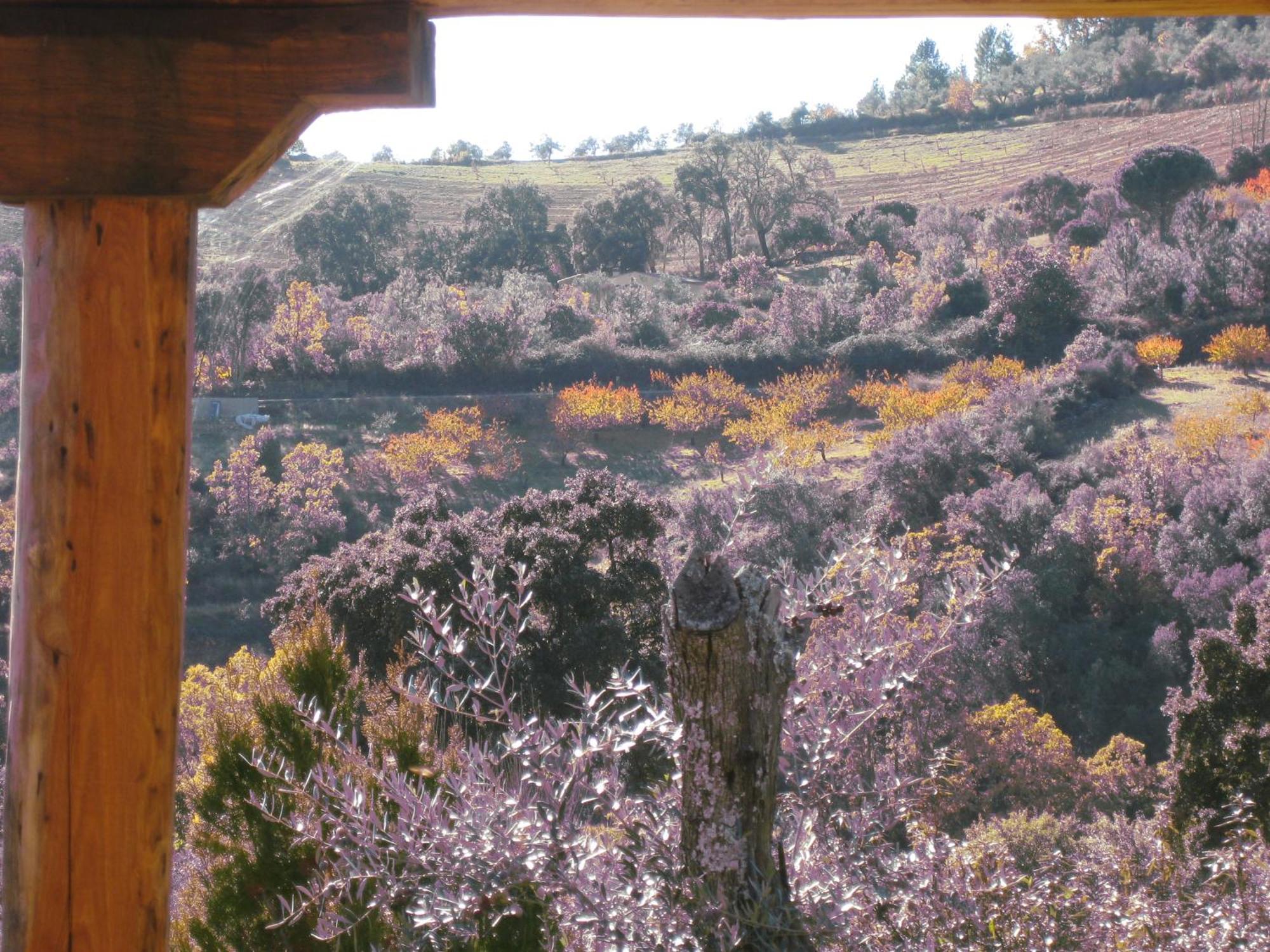 Apartamentos Rurales Candela Canamero Bagian luar foto