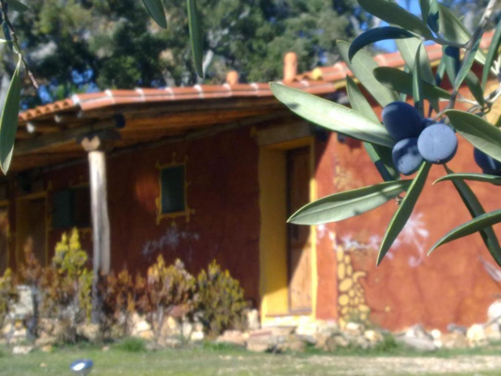 Apartamentos Rurales Candela Canamero Bagian luar foto